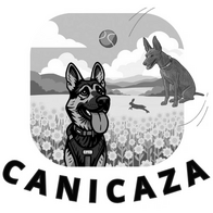 canicaza.es