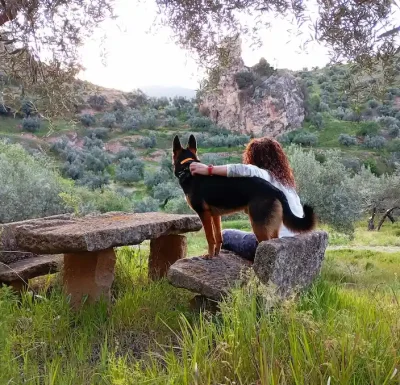 educación canina granada jaen
